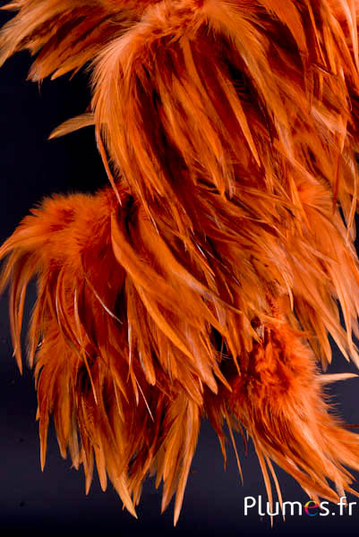 Hahnenfederkragen - Federlänge 10-15 cm - wilde Glut